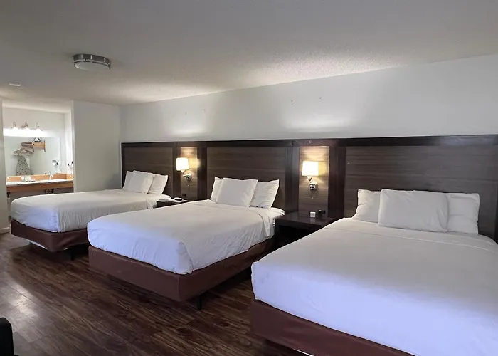 Motel: Sunrise Motor Inn